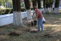 АРМАВИРЦЫ ПРИНИМАЮТ УЧАСТИЕ В ОБЩЕГОРОДСКОМ СУББОТНИКЕ