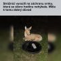 ������� ���: ������� � ����� ��������� �� �������� �������, �������� � ������� � ����� ��� ������ �� ��� � ����������, ��� ��� ����������