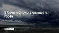 Днем 5 сентября в Сочи и Сириусе местами могут быть грозы, сообщили в администрации курорта в 13:19