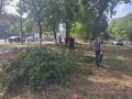 Во всех внутригородских округах Краснодара проходят субботники