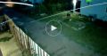 Житель Краснодара отрезал голову чужой собаке