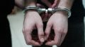 В Краснодаре задержан уже судимый живодёр, жестоко расправившийся с собакой