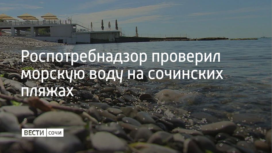 С начала 2026 года Роспотребнадзор проверил 7349 проб морской воды на пляжах Сочи