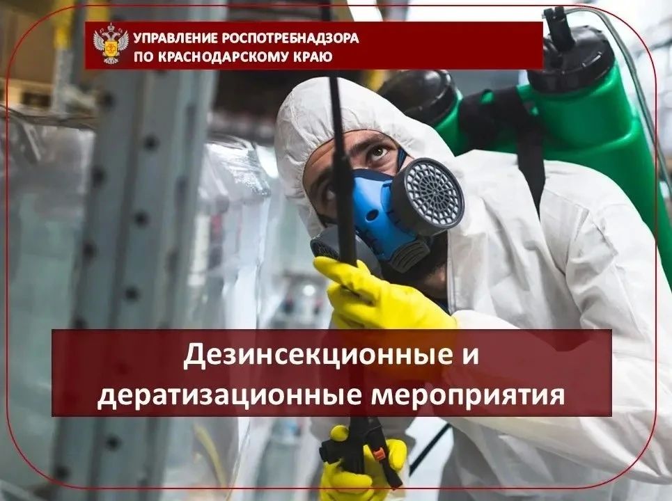 Дезинсекционные и дератизационные мероприятия