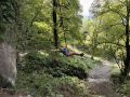 Посещение Сочинского нацпарка с 8 сентября стало бесплатным для жителей Сочи и Сириуса