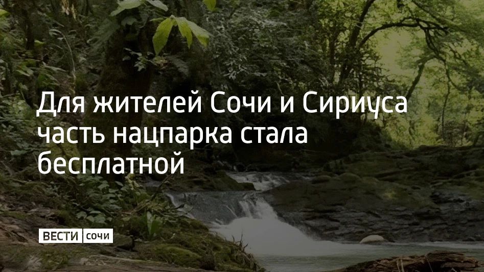 Жители Сочи и федеральной территории Сириус с 8 сентября могут бесплатно посещать Сочинский национальный парк, но льгота действует не на всей территории, сообщили в его пресс-службе