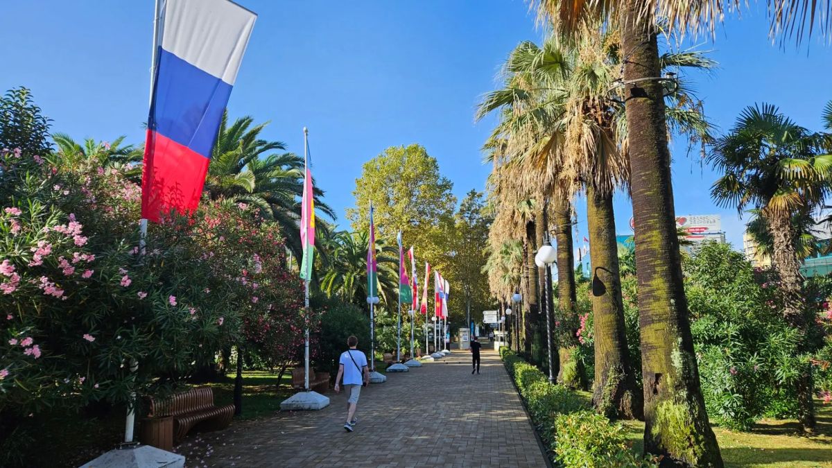 Доброе утро, дорогие сочинцы и гости курорта!