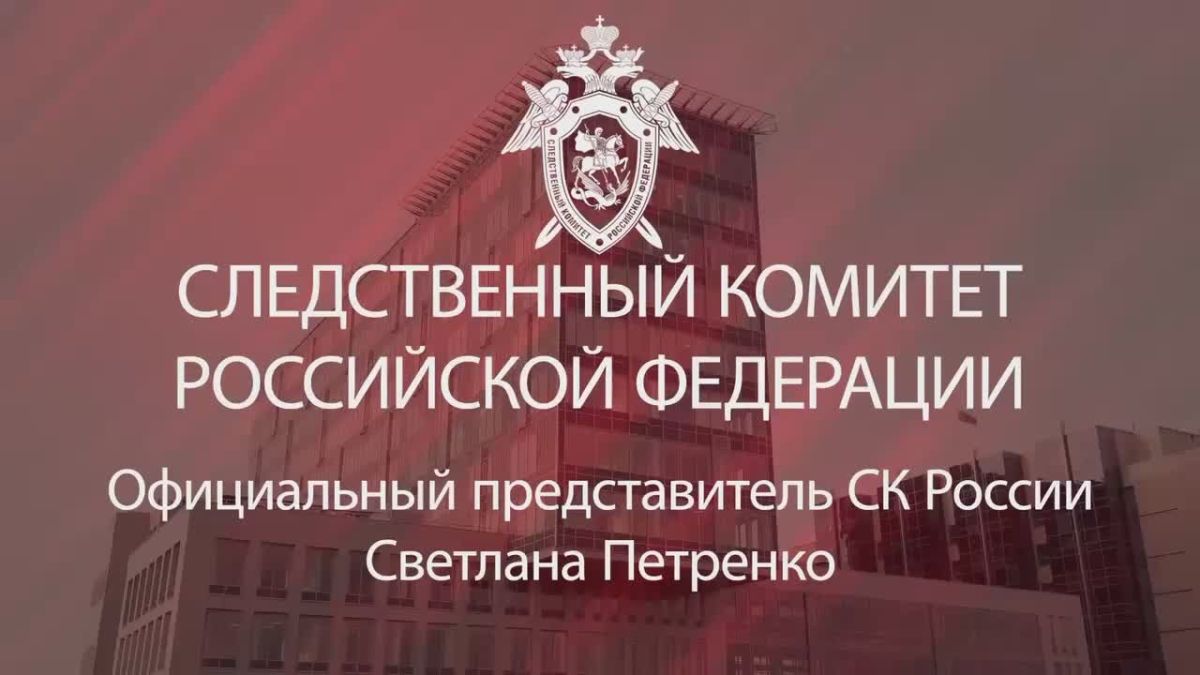 Официальный представитель СК России Светлана Петренко: