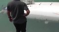 ���� ����� �������� ����� � ����������� ��������� ������ � ��������� �������