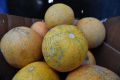 ����� 2,5 ������ ���� ��������� ������� ��������� � ��������� �� ����