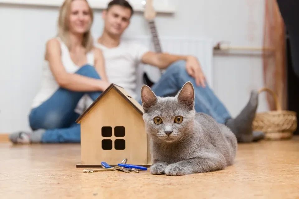 80% покупателей на Кубани выбирают вторичку
