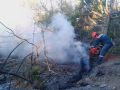 Вечером 8 сентября в районе хутора Дюрсо в Новороссийске произошло возгорание лесной подстилки