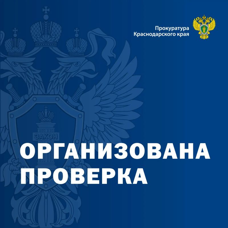 Прокуратура Каневского района по поручению прокуратуры края организовала проверку по факту массового отравления детей в школе