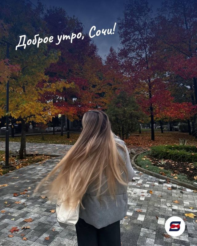Доброе утро, Сочи!. Интересный факт: весной улицы города превращаются в настоящий ботанический сад под открытым небом — цветут магнолии, камелии и множество других растений