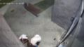 ���� ����� ������. ������� 11 �������� � ���� �� ����� �������������� � ���������� ��������� ���������� �������� �������� � ��������