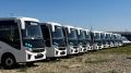 Краснодар получил 27 новых автобусов, ещё 19 на подходе