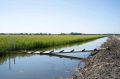 Полностью собран урожай зерновых на полях Краснодара