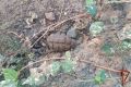 Гранату времён войны нашли под слоем гравия в гаражном кооперативе Краснодара — её уничтожили взрывотехники Росгвардии