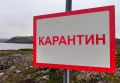 В хозяйстве Краснодарского края вспыхнула инфекция среди рогатого скота: введен карантин