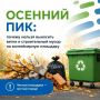 С наступлением осени на контейнерных площадках все больше появляются отходы древесно-кустарниковые и строительные