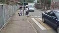 ДПС на страже: рядом с гимназией № 44 дети переходят дорогу под присмотром полицейских
