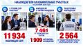 В течение сегодняшнего дня на избирательных участках работают 11 934 наблюдателя