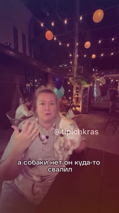 Ох и Толик. В Сочи чихуахуа по кличке Толик устроил переполох