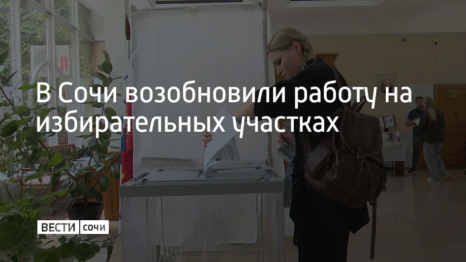 В Сочи возобновили работу 244 избирательных участка
