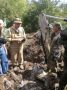 Сотрудник Росприроднадзора помог установить имена погибших в Великой Отечественной войне летчиков