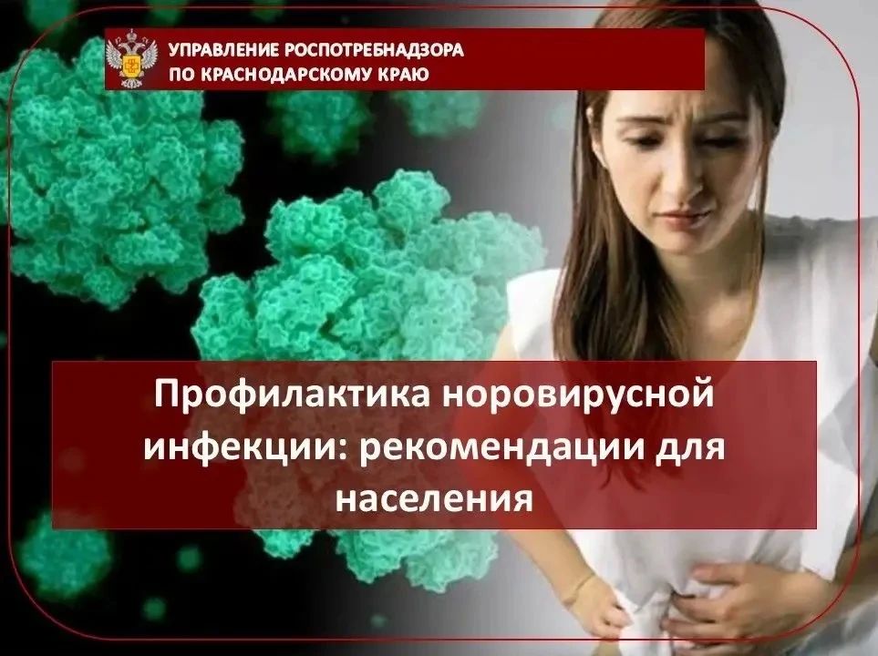 Норовирусная инфекция — одна из самых распространённых причин острых кишечных инфекций