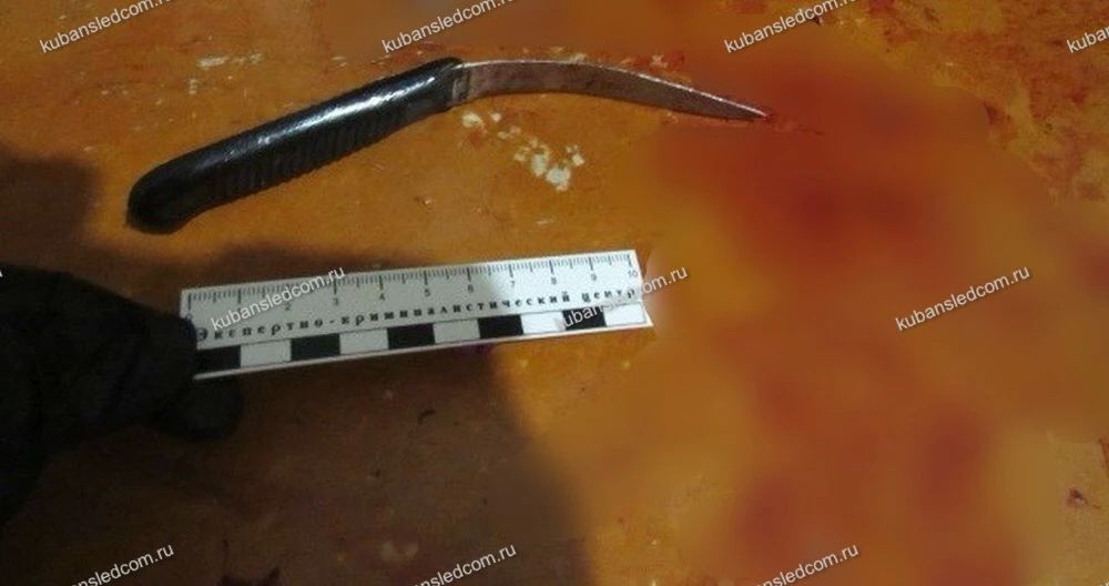В Туапсе перед судом предстанет местная жительница по обвинению в покушении на убийство сожителя
