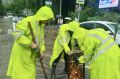 В Сочи выпало рекордное количество осадков — более 100 мм. Пик циклона пройден, по прогнозам синоптиков, к полуночи дождь полностью прекратится