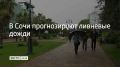 19 сентября в Сочи и Сириусе до конца суток прогнозируется очень сильный дождь и ливни с грозами, сообщили в администрации курорта