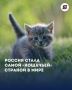 Наша страна заняла первое место в глобальном рейтинге любви к мурчащим питомцам