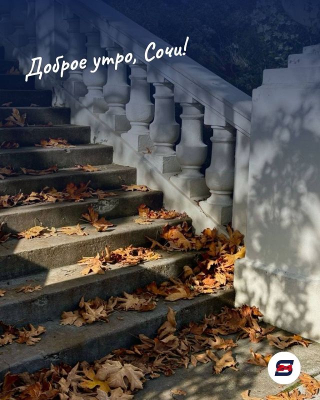 Доброе утро, Сочи!. Сентябрь в Сочи — это время, когда город находится где-то между летом и осенью