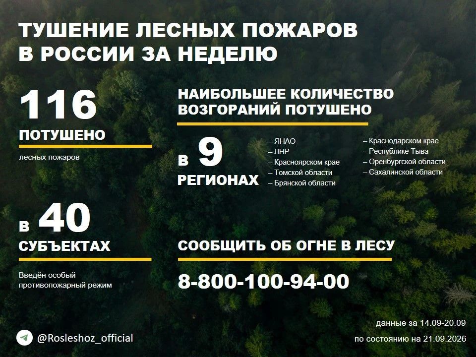По данным Авиалесоохраны, подведомственной организации Рослесхоза, за прошедшую неделю потушено 116 лесных пожаров в 23 регионах России