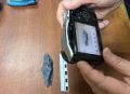 В Новороссийске на скамью подсудимых отправлен приезжий из Сыктывкара за незаконное хранение запрещенных веществ