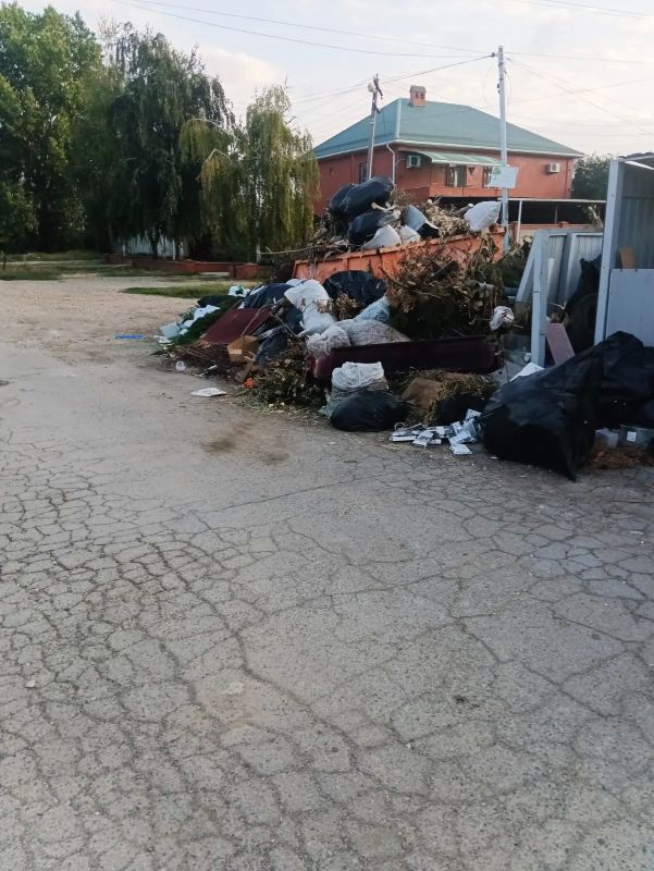 «Южная столица мусора»: краснодарцы бьют тревогу