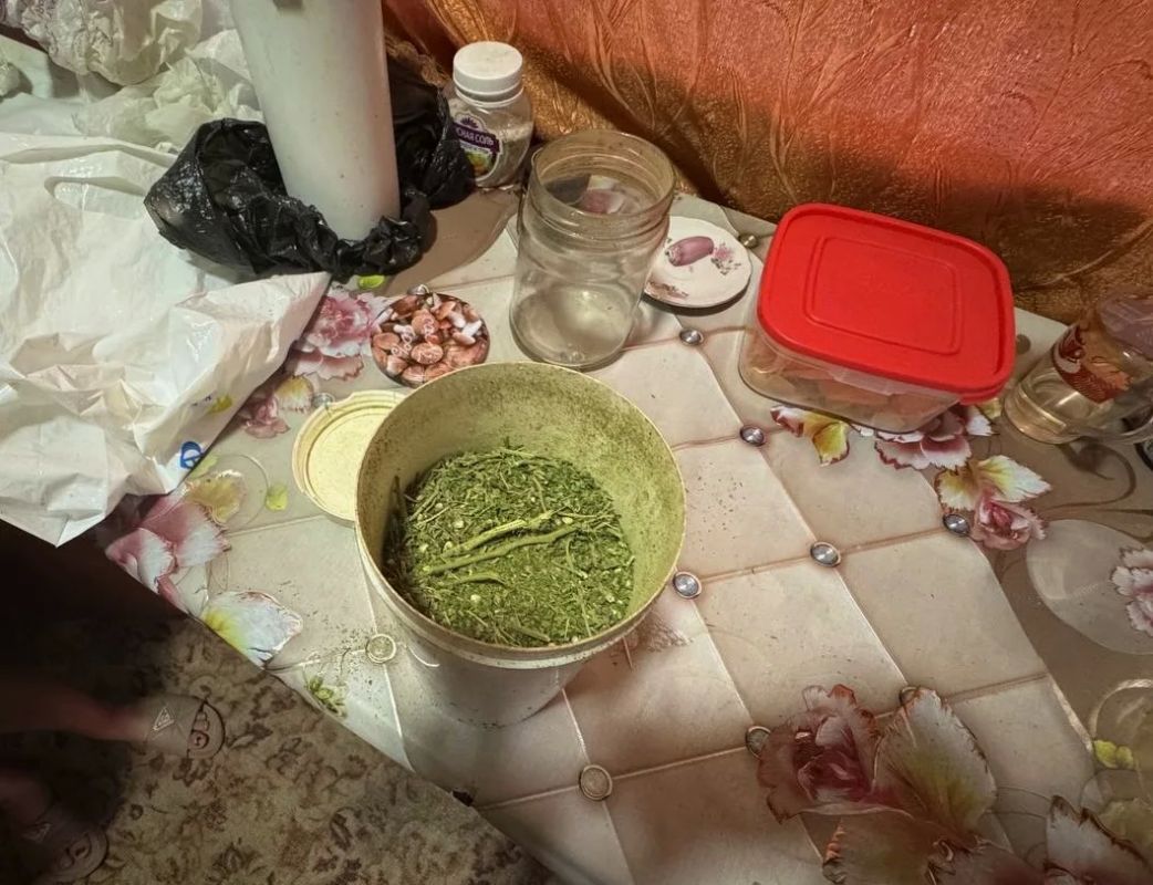Пластиковое ведро, в котором не урожай, а марихуана