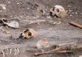 На Кубани откопали старинный погреб с костями, рюмками и бутылками