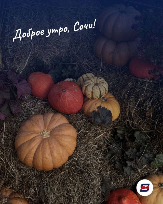 Доброе утро, Сочи!. Осенью особенно интересно отправиться из города в горы: природа там меняется быстрее, и первые краски сезона появляются раньше