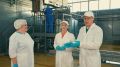 Сыр с плесенью — деликатес или продукт, которого стоит опасаться