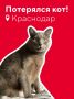 Сообщение авиакомпании. Друзья, не можем остаться в стороне