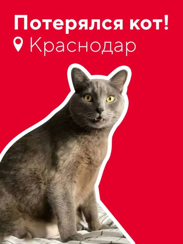 Сообщение авиакомпании. Друзья, не можем остаться в стороне