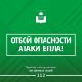 Пожар в лесном массиве микрорайона Голубая Бухта потушен