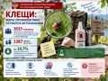 Клещи: меры профилактики остаются актуальными