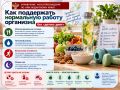 Как поддержать нормальную работу организма без «детокс-диет»