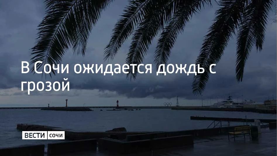 Ночью и утром 26 сентября в Сочи и Сириусе местами ожидается сильный дождь и гроза, сообщили в МЦУ курорта