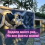 Самый крупный парк, созданный частным лицом