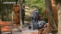 ������� ����������: �� ���������� ������ ������� � ���������, ������� ����� ���������� ������ �������� �������� ����������